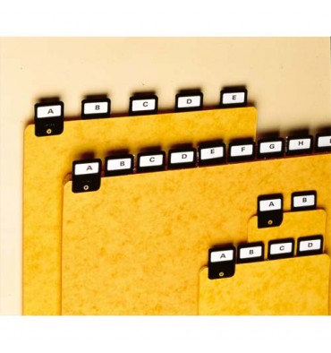 REXEL Jeu de 25 intercalaires avec onglet métallique pour boîte à fiches format A6 en hauteur