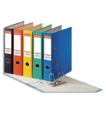 ESSELTE Classeur à levier papier couleur Rainbow dos de 8 cm couleurs assorties