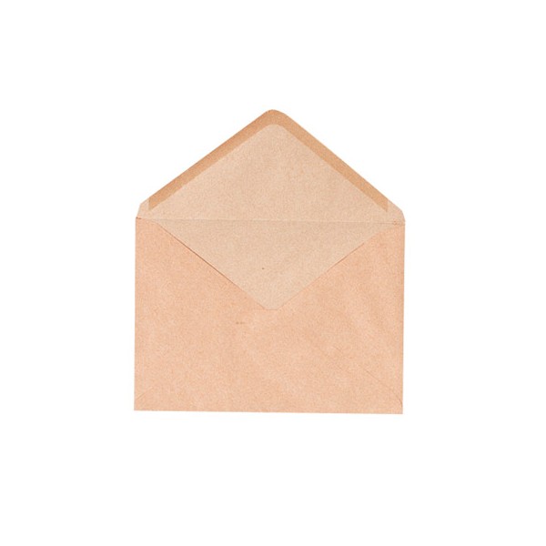 GPV Boîte de 500 enveloppes bulle gommées 72g format 114 x 162 mm C6