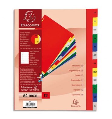 EXACOMPTA Jeu d'intercalaires mensuelles en polypropylène. 12 touches multicolores. Format A4+