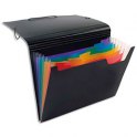 VIQUEL Trieur ménager RAINBOW en polypropylène noir avec 7 compartiments intérieur couleur