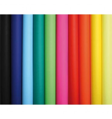 CLAIREFONTAINE Rouleau de 10 feuilles affiche couleur 75g 60 x 80 cm couleurs assorties