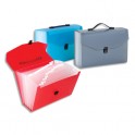 VIQUEL Trieur nomade valise Propyglass translucide à 25 compartiments, coloris assortis
