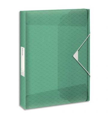 ESSELTE Boîte de classement Colour'Ice dos 4 cm - coloris vert
