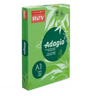 REY BY PAPYRUS Ramette de 250 feuilles papier couleur ADAGIO 160g A3 vert vif