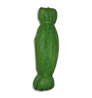 PW INTERNATIONAL Bobine de 50g de raphia végétal Vert clair, longueur non standardisée de 1 à 1,20m