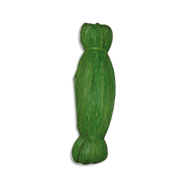 PW INTERNATIONAL Bobine de 50g de raphia végétal Vert clair, longueur non standardisée de 1 à 1,20m