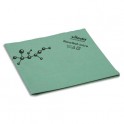 VILEDA Paquet de 5 Lavettes NanoTech Micro en microfibre - 40 x 38 x 0,7 cm vert