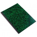 EXACOMPTA Carton à dessin avec élastiques Annonay 37 x 52 cm vert