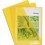 EXACOMPTA Boîte de 100 pochettes coin en PVC 13/100e, coloris jaune
