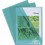 EXACOMPTA Boîte de 100 pochettes coin en PVC 13/100e, coloris vert