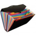 VIQUEL Valise trieur Rainbow 24 compartiments, polypropylène 10/10e, noir intérieur multicolore