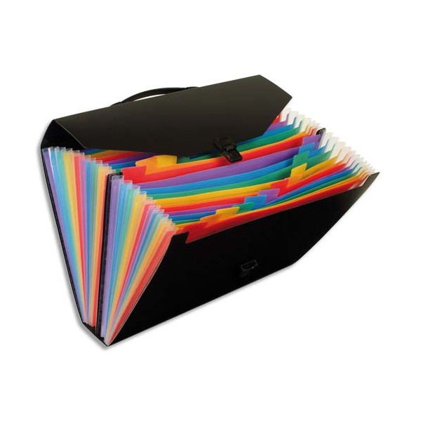VIQUEL Valise trieur Rainbow 24 compartiments, polypropylène 10/10e, noir intérieur multicolore