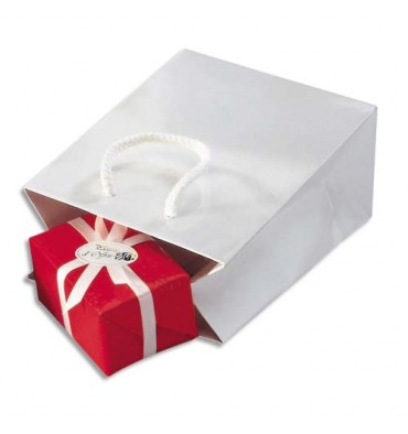 EMBALLAGE Paquet de 25 sacs pelliculés blanc avec poignées cordelières assorties 19 x 27 x 10 cm